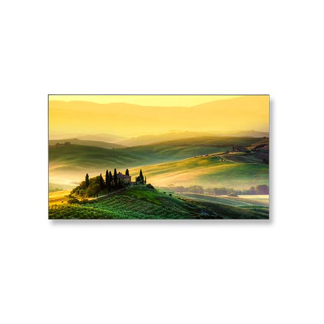 NEC X464UN 46 inch Large Screen 3500:1 8ms VGA/DVI/HDMI/DisplayPort/RJ45 LED LCD Monitor, w/ Speaker