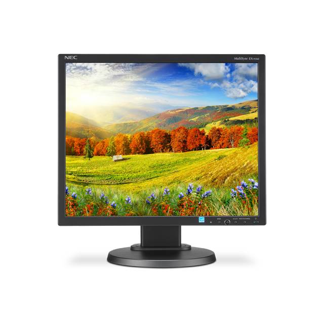 NEC MultiSync EA193MI-BK 19 inch 25,000:1 6ms VGA/DVI/DisplayPort LED LCD Monitor, w/ Speakers (Blac