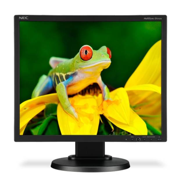 NEC MultiSync EA192M-BK 19 inch 1,000:1 5ms VGA/DVI/DisplayPort LED LCD Monitor, w/ Speakers (Black)