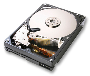 WD/HGST 1TB/7200 RPM, SATA2 HD